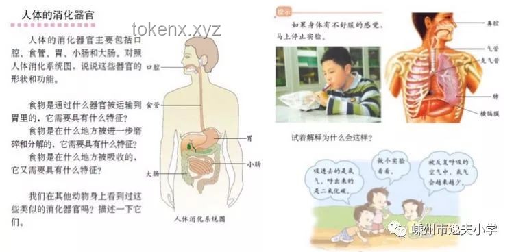 【毕导级科普】探索身体奥秘：科学解析呼吸方式，肛门呼吸真相揭秘